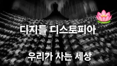 우리가 사는 세상. 그들이 주인인 세상. 240816