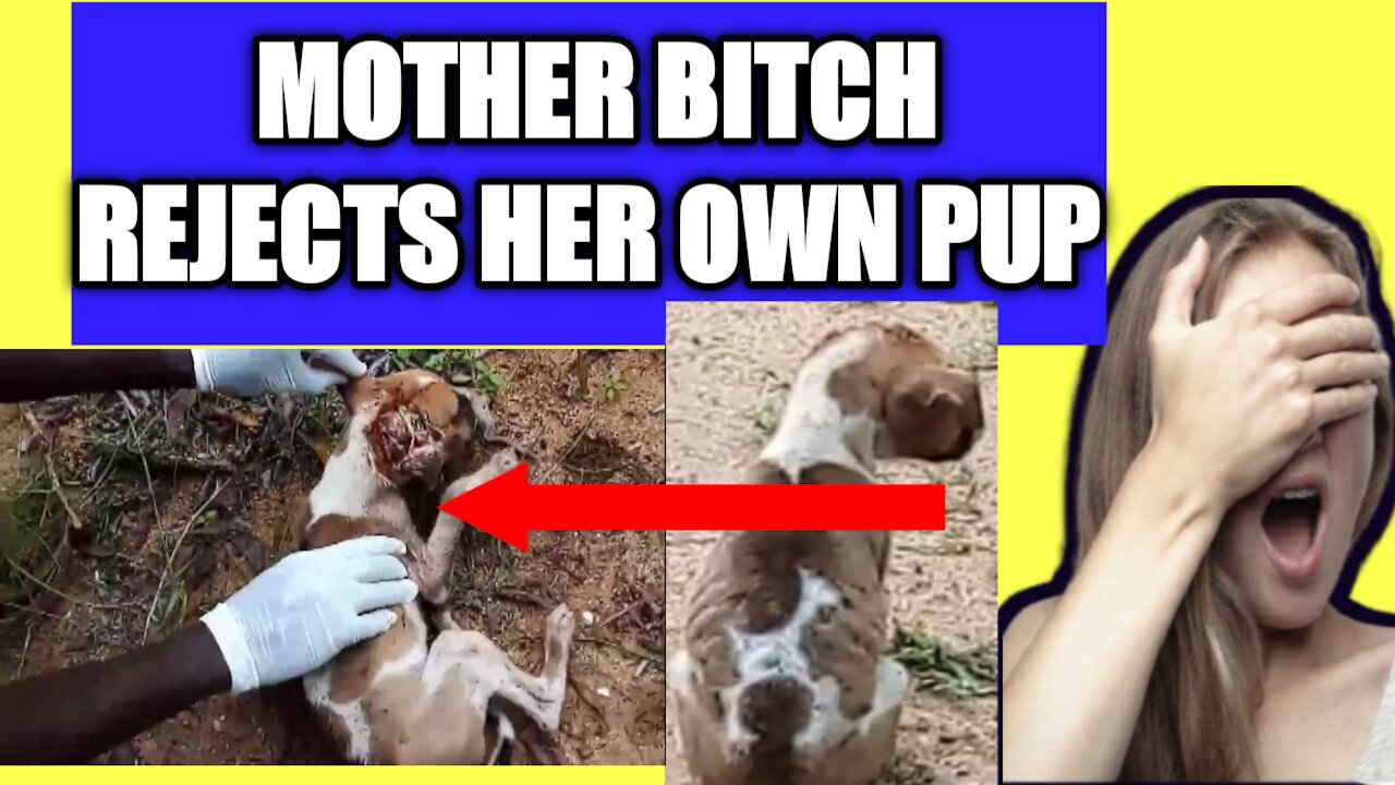 WHY MOTHER BITCH FED ONE PARTICULAR PUP SEPARATELY?