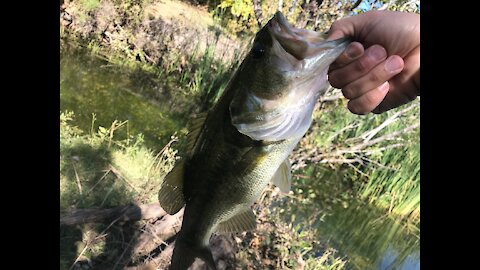 Culebra Creek Fishing in San Antonio Texas