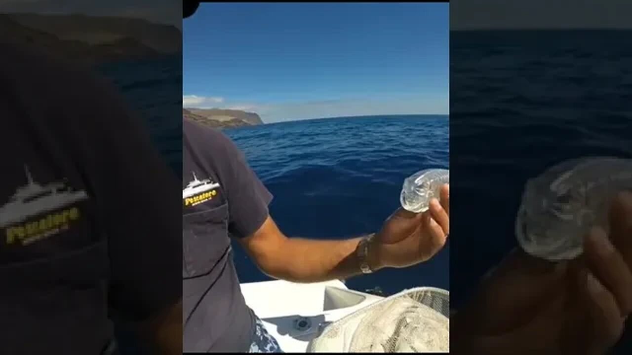 OMG 😱