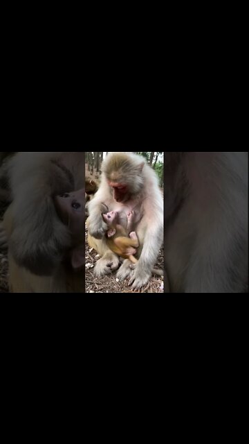 Most Amazing and trending video||relaxing your mind||trendig videos|| #shorts #trending #viral #live