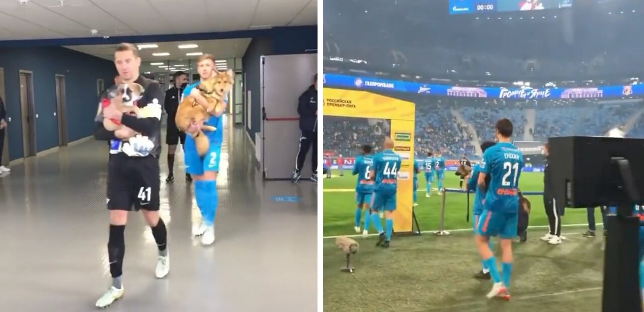 SOCCER PLAYERS GOING THE FIELD WITH PETS