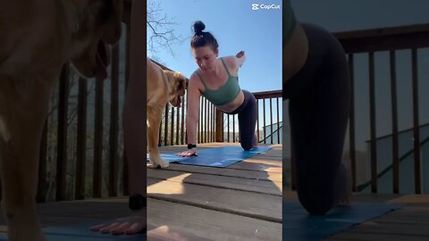 Being outside doing yoga again makes me so happy 😀 #fitmoms #yoga #fitness #goldenretriever