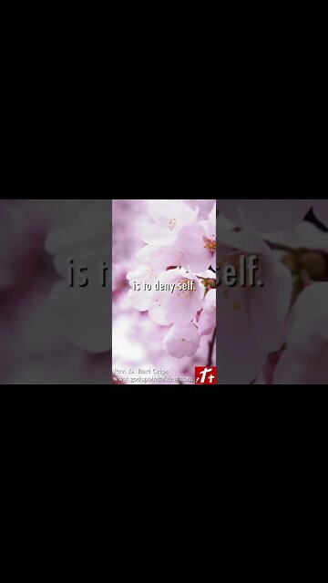 Do I Have to Deny Myself? | God's Point of View (Short #13)