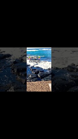 ✈️BLUE✈️SKIES✈️