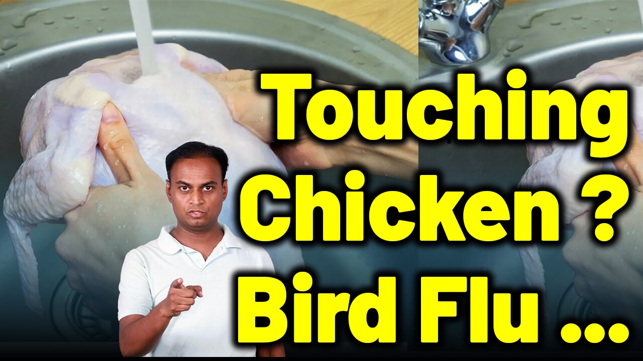 Handling Chickens Safely in Bird Flu Alert. | Dr. Bharadwaz | Homeopathy, Medicine & Surgery