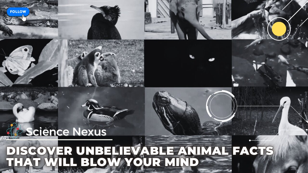 Discover unbelievable animal facts that will blow your mind.