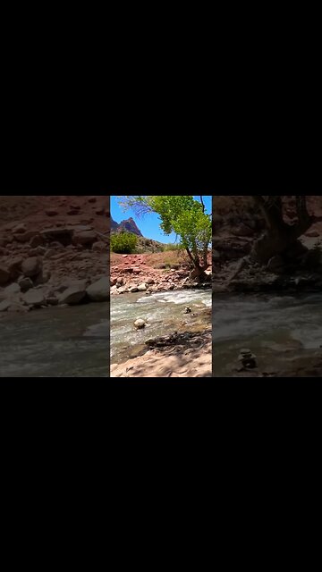 Broke Moe And Groucho Go On Vacation To Zion National Park!