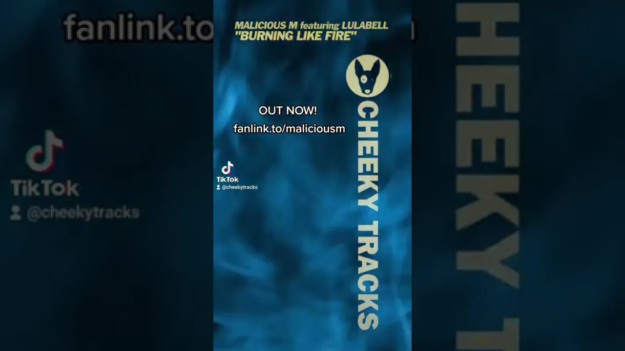 OUT NOW: Malicious M featuring Lulabell - Burning Like Fire