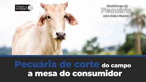 Pecuária de corte do campo a mesa do consumidor. Veja o comentário de Celso Ricardo