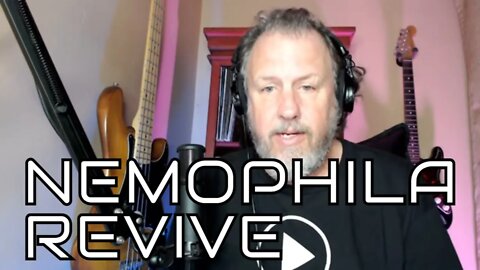 NEMOPHILA REVIVE - First Listen/Reaction