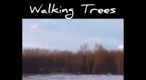 1420. PHENOMENON 🌳 Walking Trees