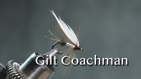 Gilt Coachman from Favorite Flies and Their Histories (1892) by Mary Orvis Marbury