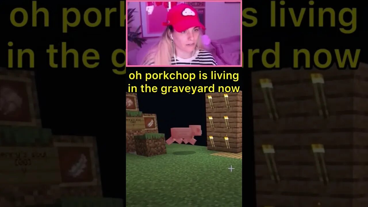 🐷 LITTLE DEATH WISH 💀 #shorts #minecraft #minecraftshorts #funnyminecraft #skyblock