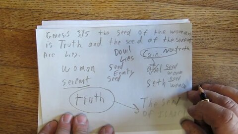 Genesis 3:15 the seed of the woman is Truth and the seed of the serpent are lies