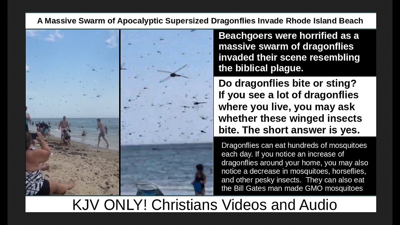 A Massive Swarm of Apocalyptic Supersized Dragonflies Invade Rhode Island Beach