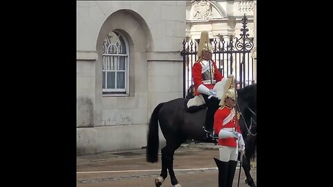Horse gets spooked changing of the guard 12 April 2023 #horseguardsparade