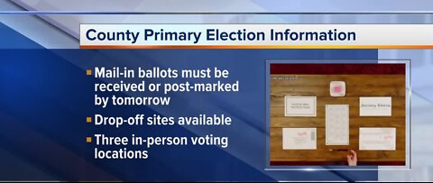 County primary election information