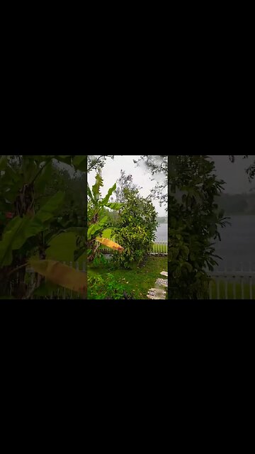 #HURRICANEIAN🌀#HURRICANE #WINDS CONTINUE #RAIN COMING HARD & #LIGHTNING IN THE AREA #SHORTS