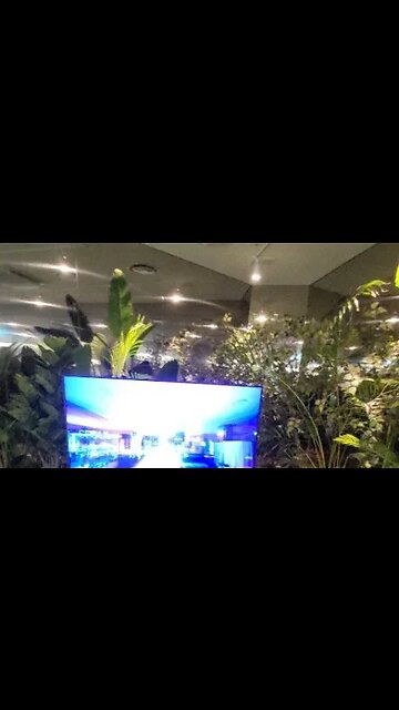 실시간 온실 식물원