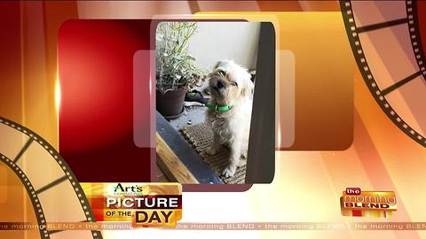 Art's Cameras Plus Picture of the Day for 9/28!