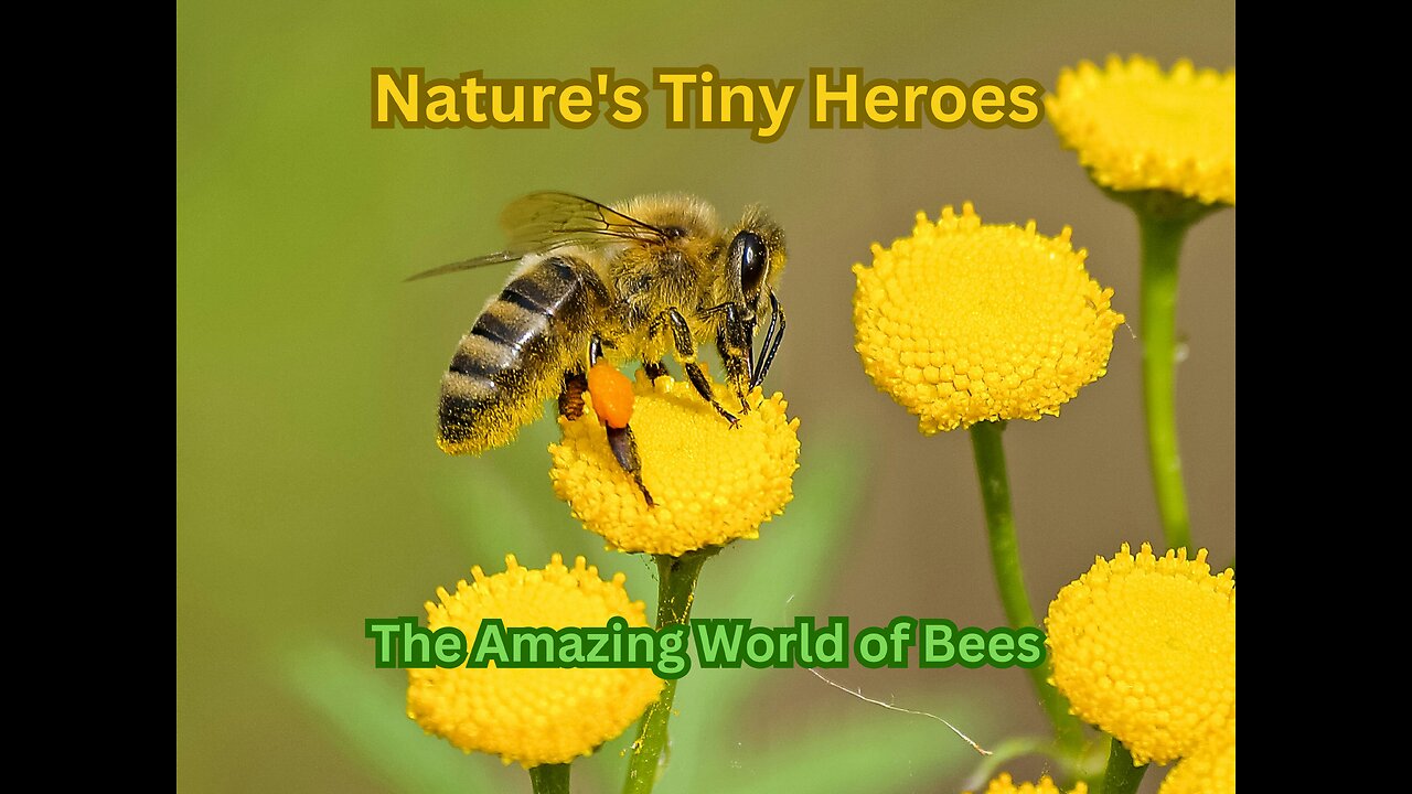 Nature's Tiny Heroes