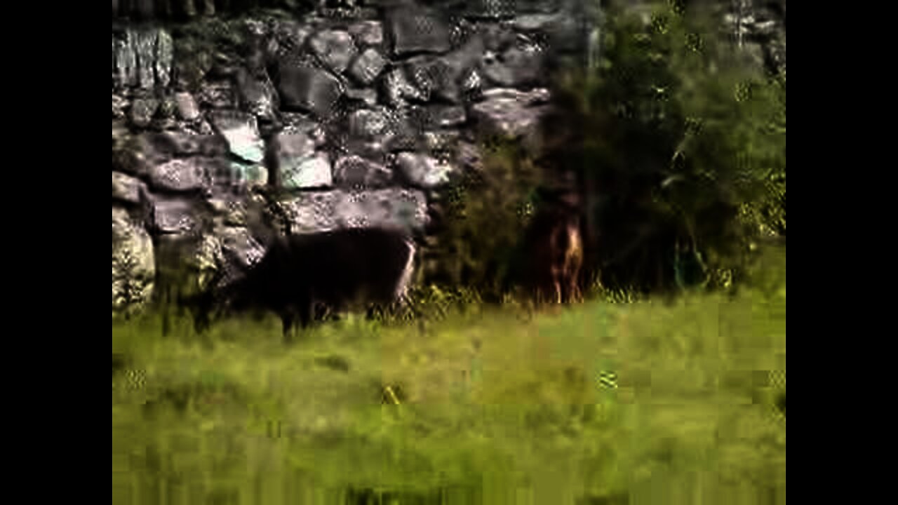 Ireland 2003