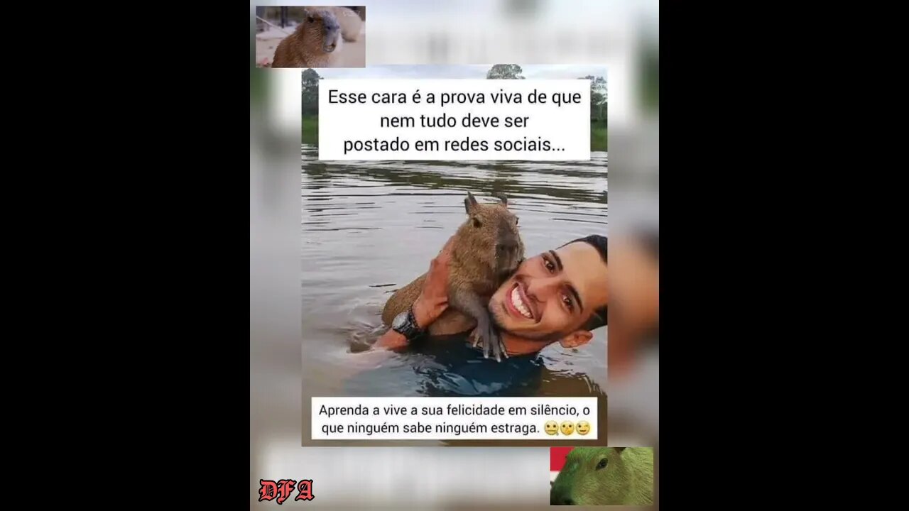 A INVEJA EXISTE #capivara #FILO #luisamell #ibama #lovepets #inveja #mypet