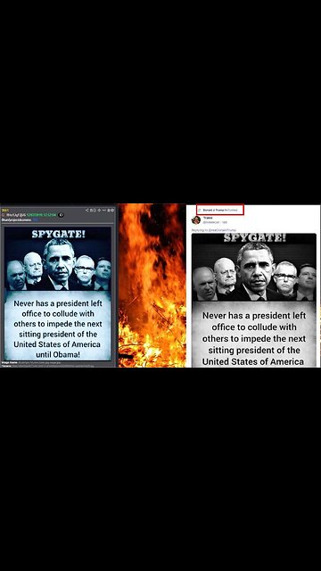 😂😂😂 Elon Musk’s favorite politician.