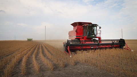 Trump Approves Another Round Of Payments For US Farmers