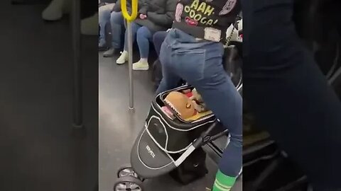 Mental health crisis