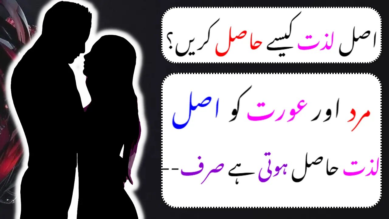 Asal Lazzat Kaise Hasil Hoti Ha | Hakeem Luqman Quote In Urdu | Mushtaq Yusufi Quotes | Mumtaz Mufti