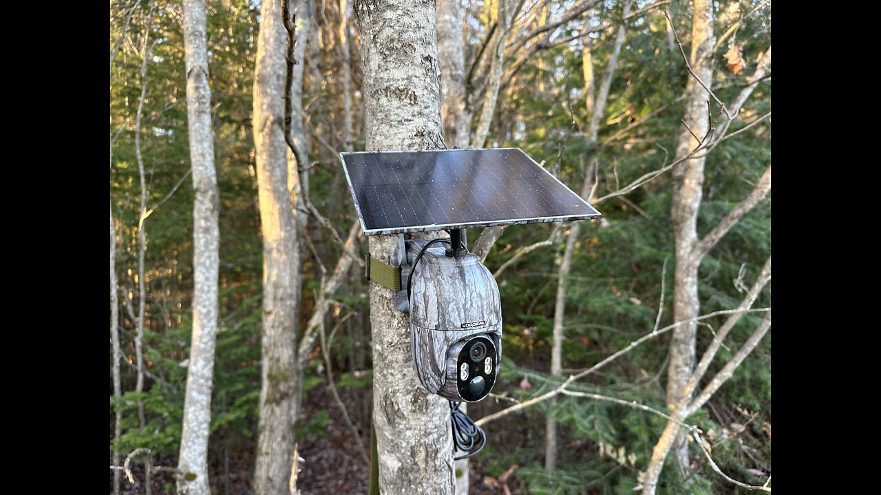 Next Gen Deer Scouting - Voopeak Live Video 360 TC27 Trail Camera