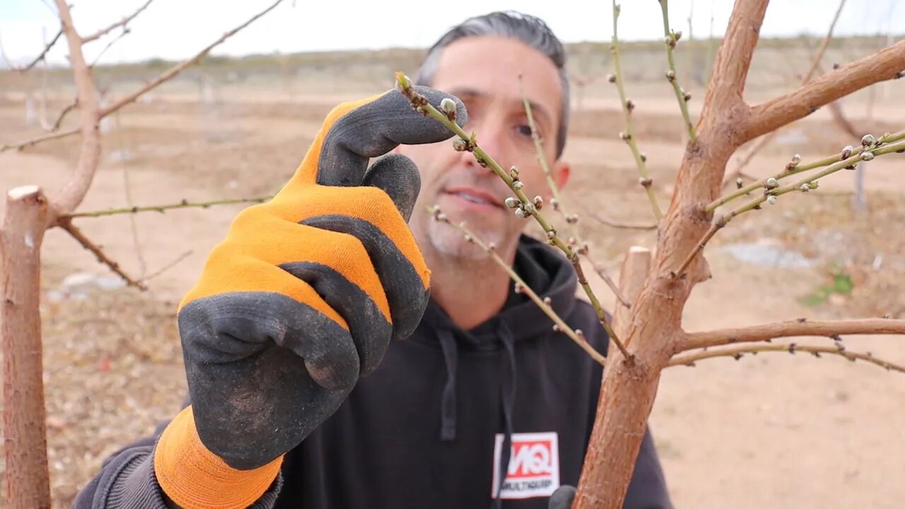 Climate Change or Just Arizona Weather | Are You Ready for Spring?