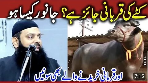 Bhains ki Qurbani jaiz hai? by Allama Hisham Elahi zaheer