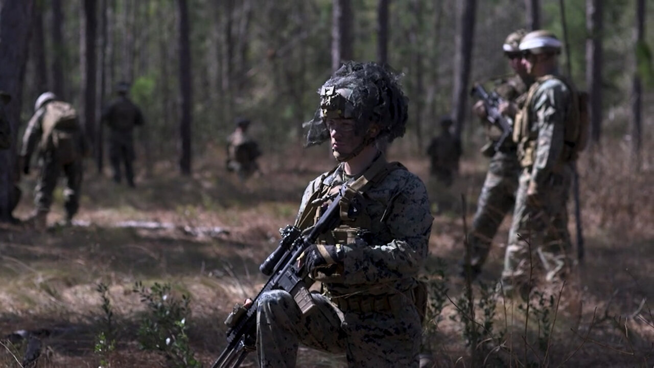 Interview Day n Night | U.S. Marines with V2/8 conduct battalion field exercise