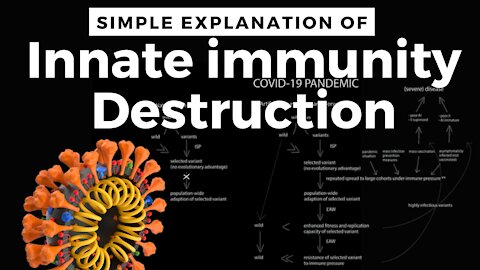 Immunity Loss Pathophysiology [Simple]