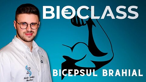 Bicepsul Brahial