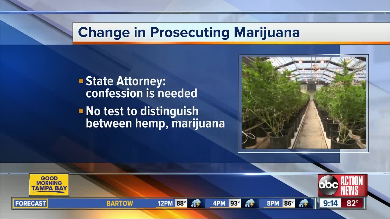 State Attorney won't prosecute certain marijuana cases