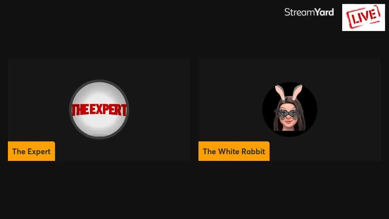 Let's talk Turkey with The White Rabbit