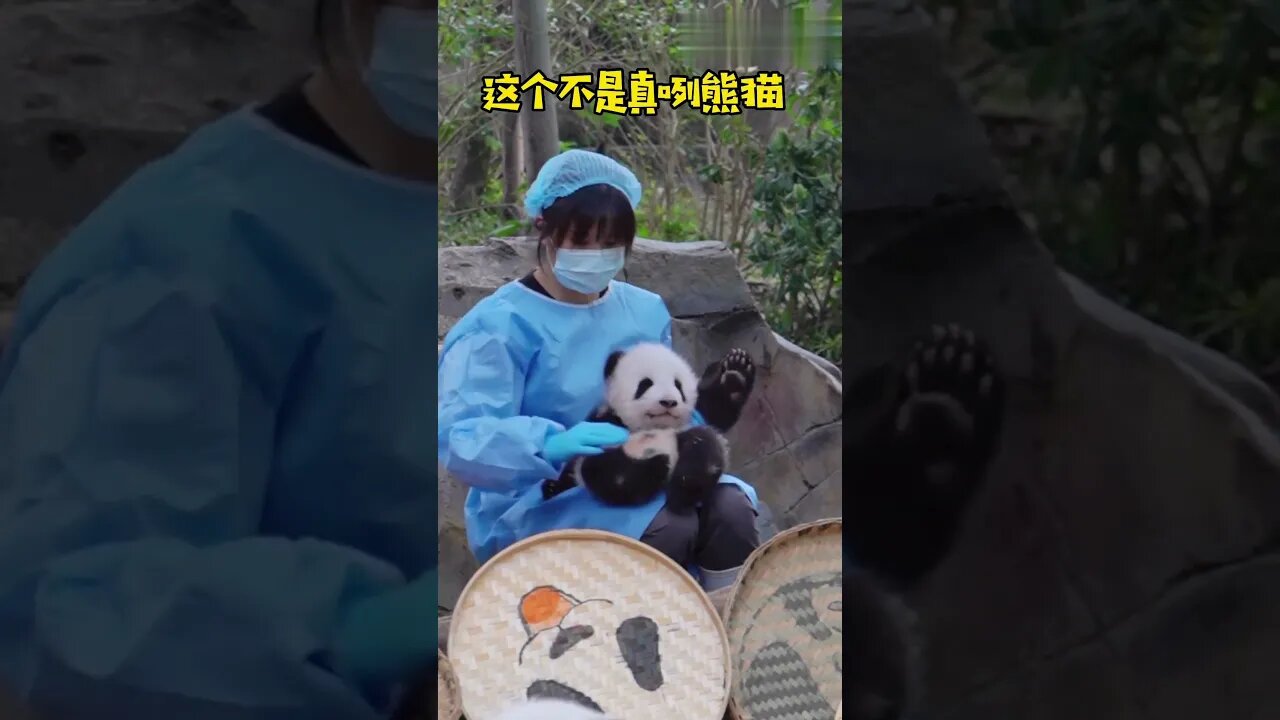 Do you want such plush toys