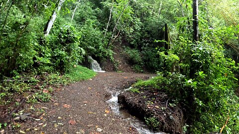 My Favorite Path on El Miro in Jaco Beach Costa Rica (Wide Version)