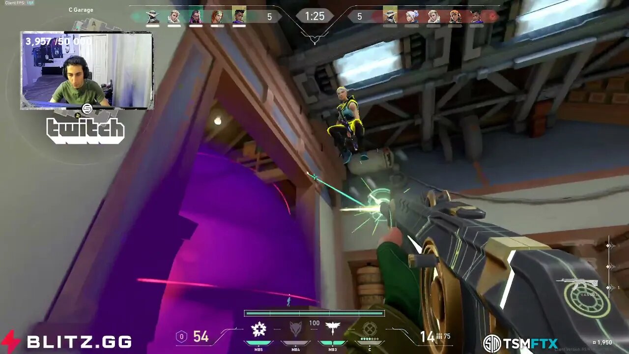 Definitely One Garage