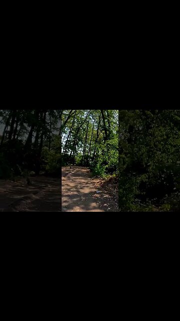 PUSTNICU Forest, Bucharest - Ilfov | 4k Virtual Tour | #shorts