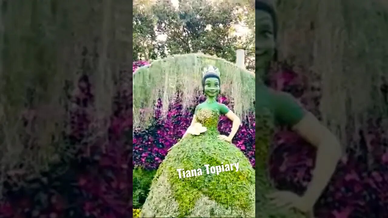 Tiana Topiary At Epcots Flower And Garden Festival