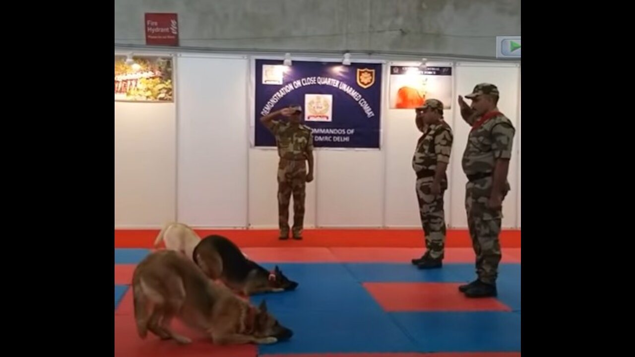 CISF demonstration of Dog Squad