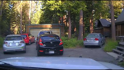 Bear Stuck In Vehicle Freed By Deputies