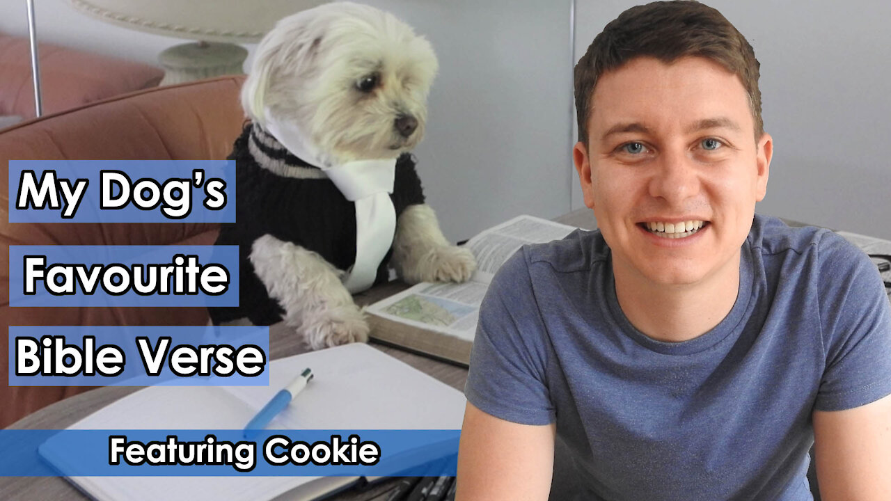 My Dog's Favorite Bible Verse | Even The Dogs Eat The Crumbs| Cookie The Dog! 🐶😂 | Christian Video