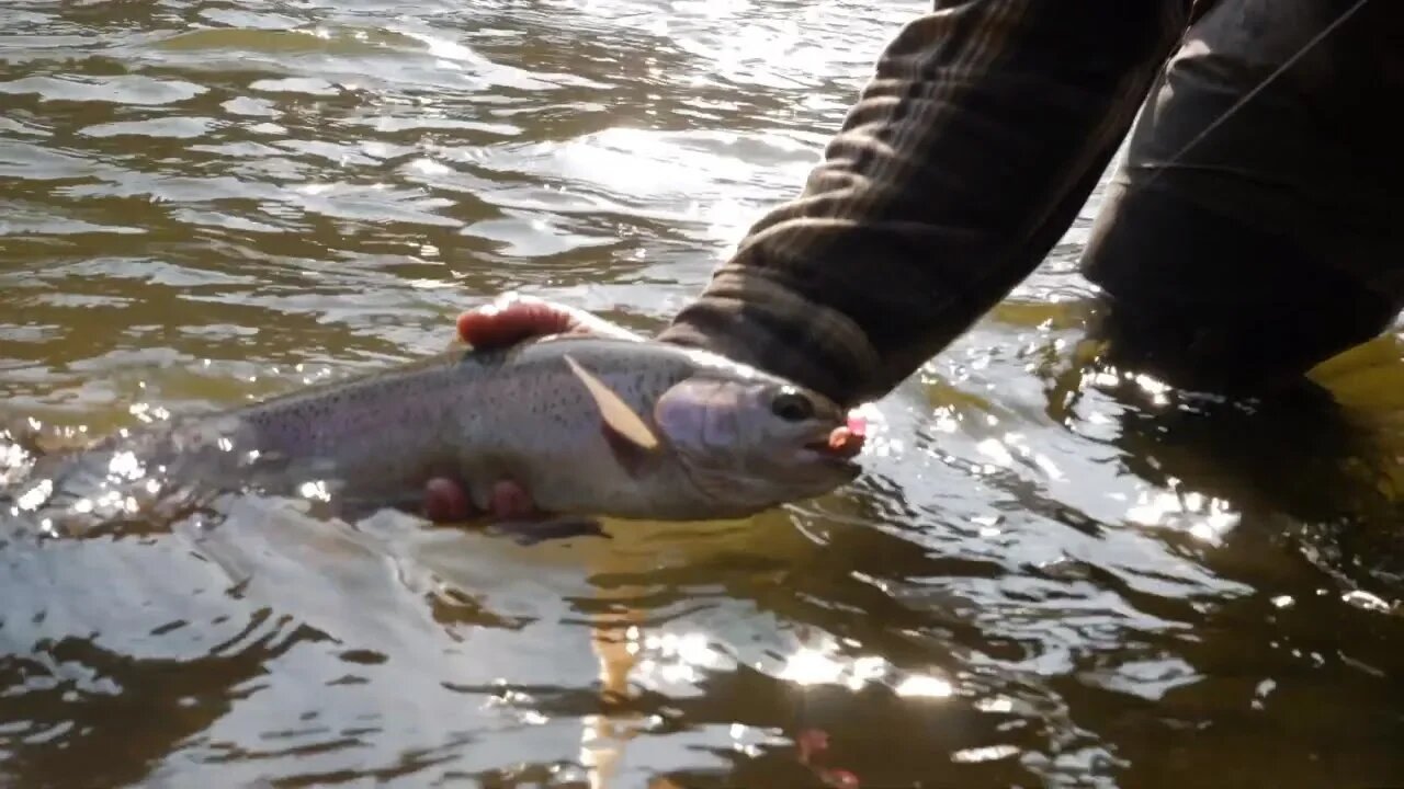 Salmon & Steelhead Fishing Central Oregon | Addicted Life Ep. #13