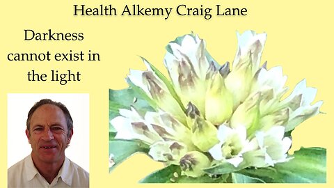 Health Alkemy MasterMind C-Answer, Iris Assessment and Overcoming the Inner Animal